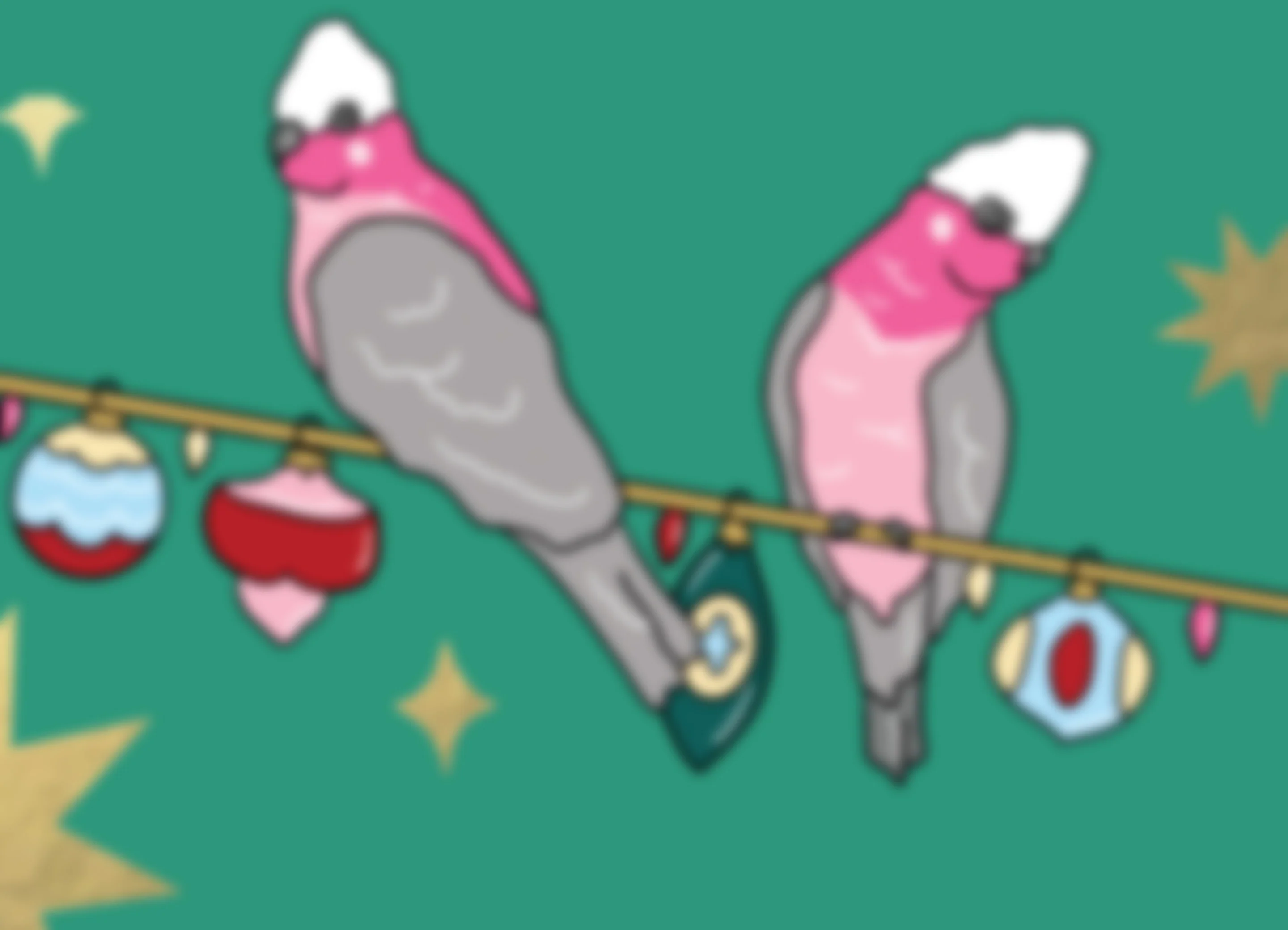 Galah Greetings - eftpos - Image 3