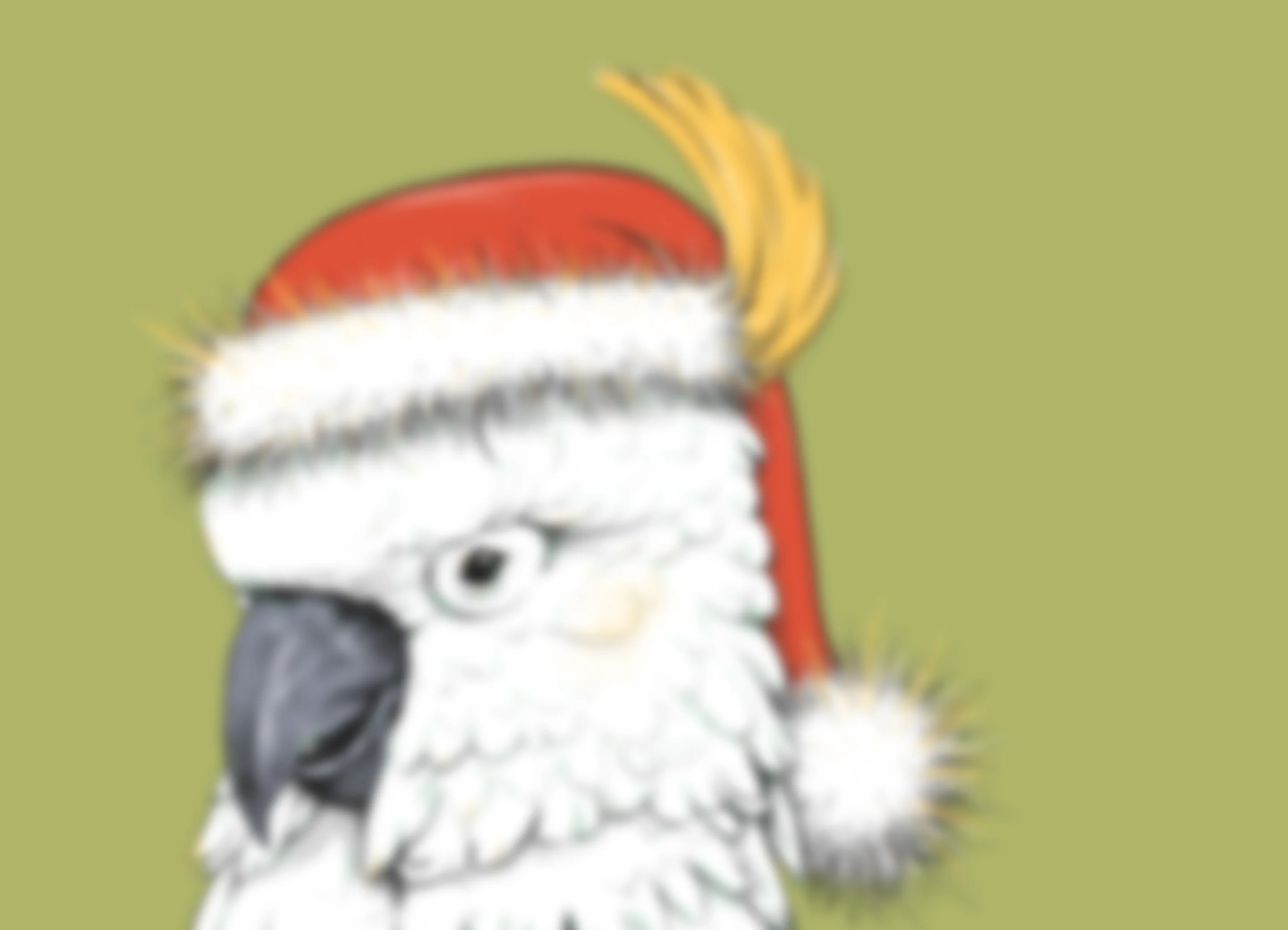 Christmas Cockatoo - eftpos - Image 3